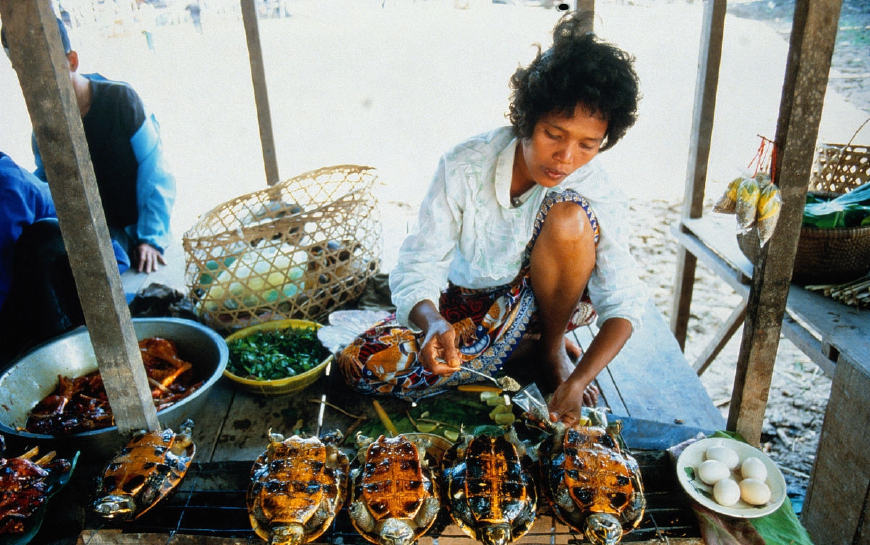 瓒婂崡鑿犺悵铚滅儰涔岄緹,瓒婂崡缇庨鑿犺悵铚滅儰涔岄緹