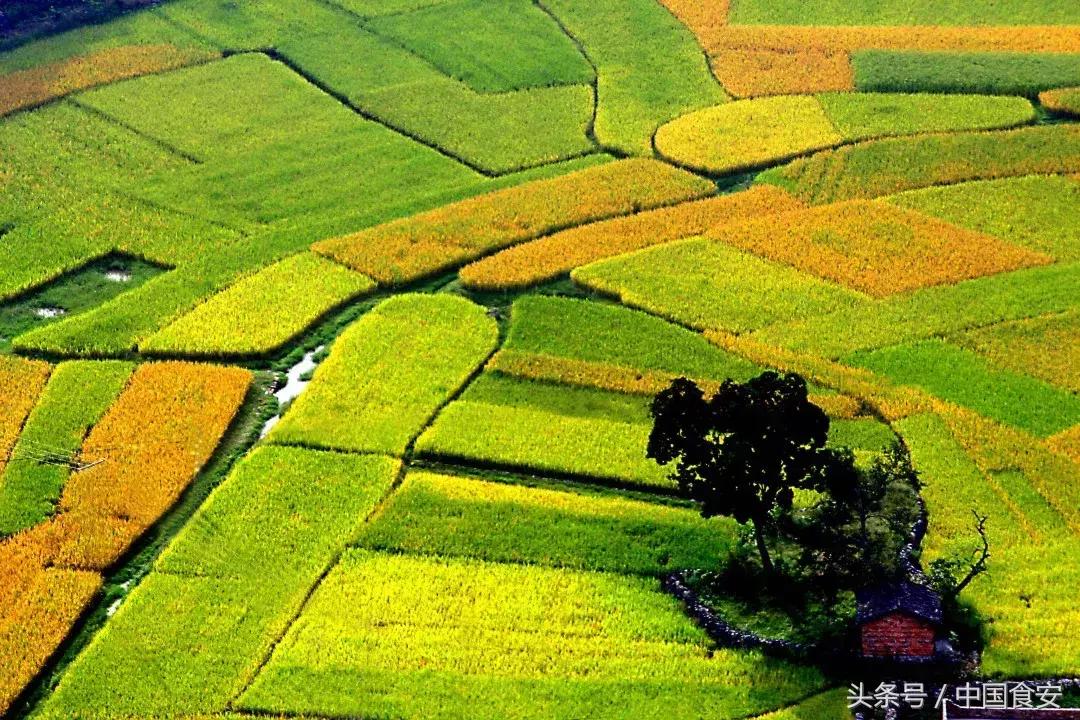 没错!就是明天啦!云南广南向全世界发出盛情邀请!