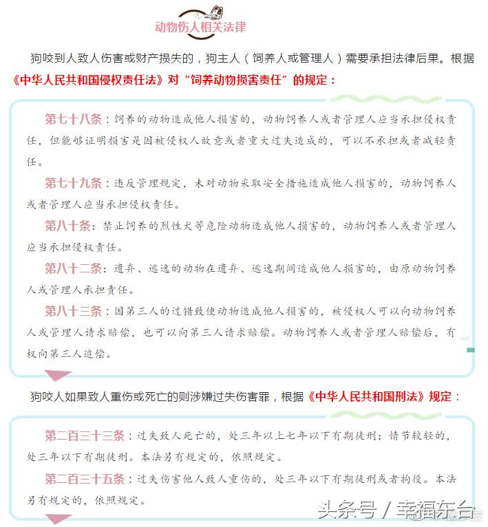 关于养犬致全体市民的一封公开信,通知给养犬居民的一封信请查收