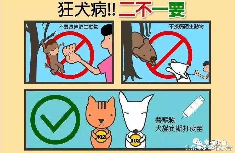 关于养犬致全体市民的一封公开信,通知给养犬居民的一封信请查收