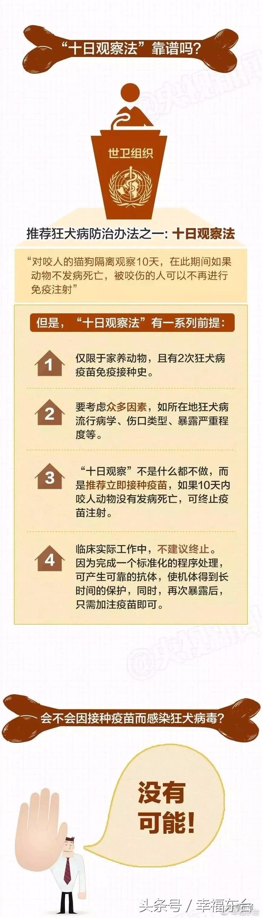 关于养犬致全体市民的一封公开信,通知给养犬居民的一封信请查收