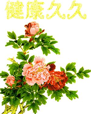 绁濇偍涔濊繍褰撳ご骞哥涔呬箙,9.9绁濈