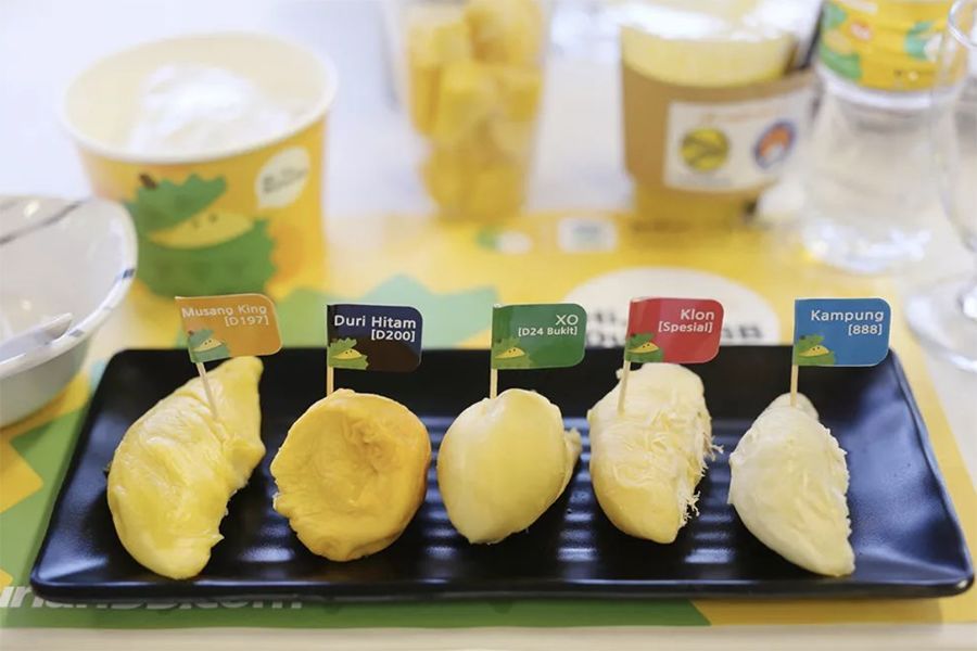 我想要带你去环游世界,我想带你吃遍所有的美味