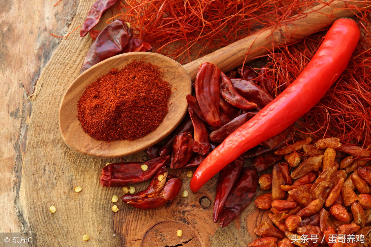 养鸡技巧大蒜喂鸡的好处,养鸡秘诀花椒