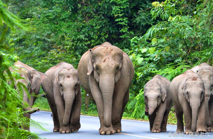 泰国必游旅游景点排名榜,泰国十大吸引人地方