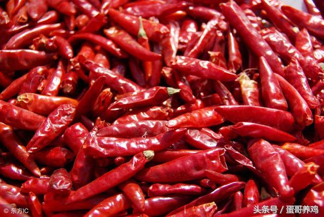 养鸡技巧大蒜喂鸡的好处,养鸡秘诀花椒