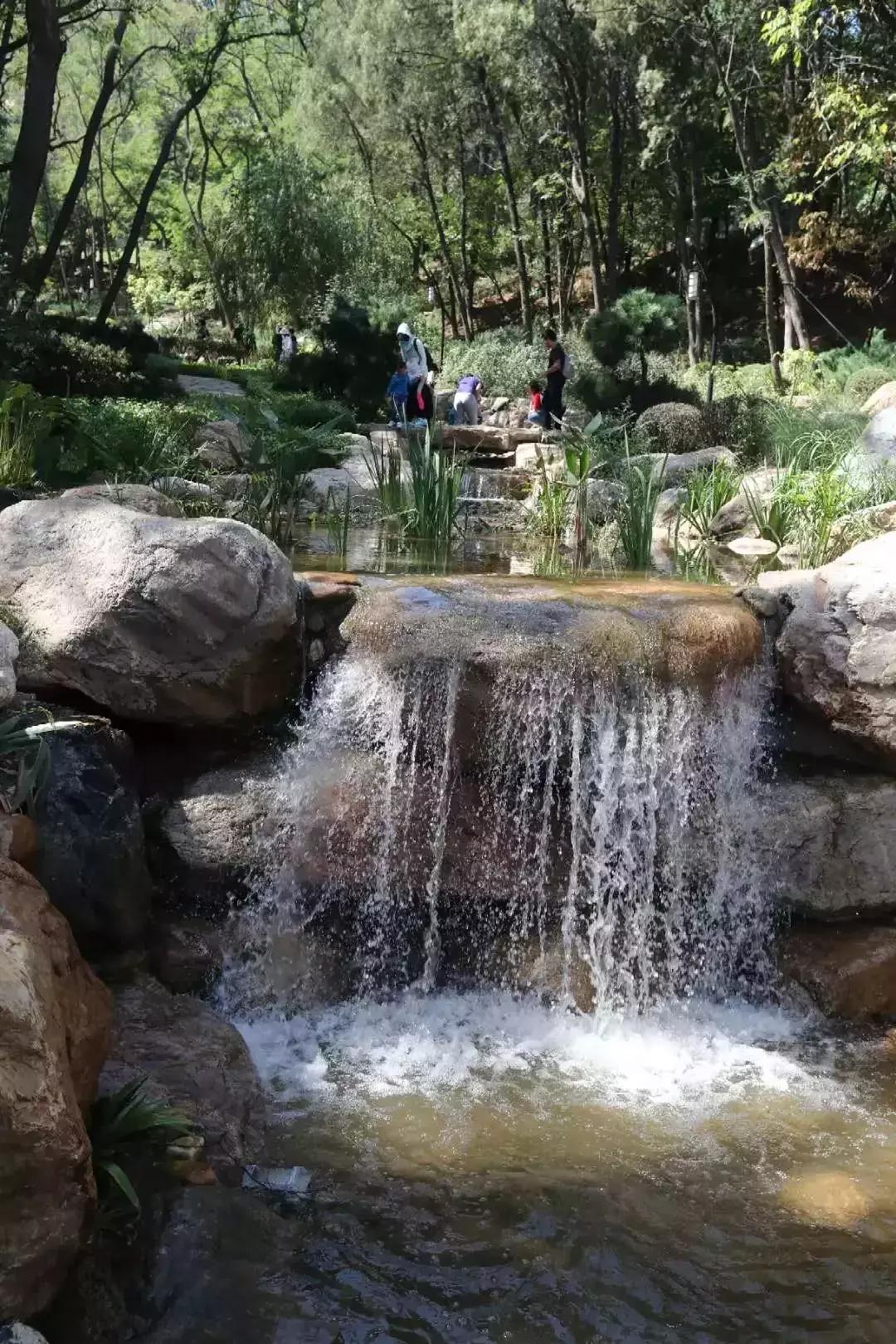 大连人最熟悉的“植物园”做了一次“整容”！一睹为快！