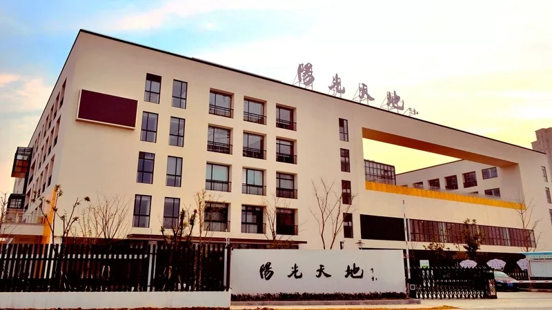 动动手指服务上门嘉定阳光服务平台升级