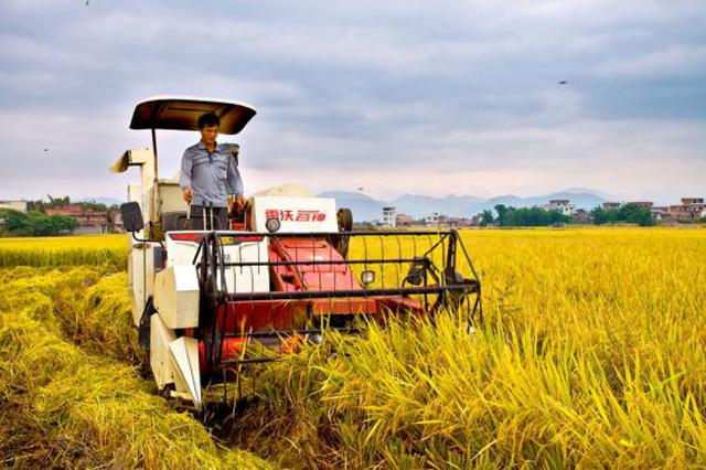 农资经销商的十大出路,农资经销商面临的十大战略问题