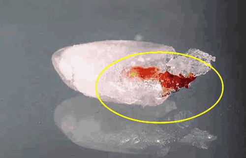 明明密封好的大米为什么会长虫,明明密封好的大米为何还会生虫