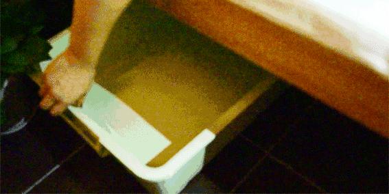 松肩背按摩视频,松肩沉肘含胸拔背