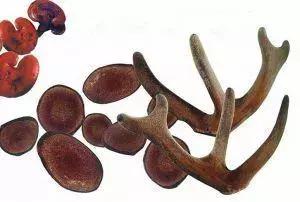 500元一斤能买的东西,500块钱买回价值千万古董