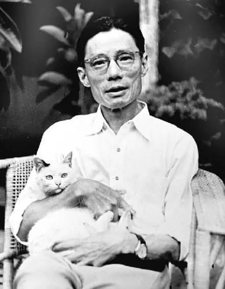 猫会自己治愈吗,猫可以自己治愈吗