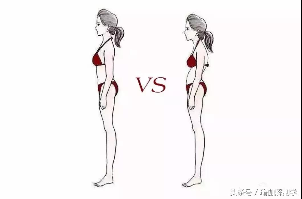 你必须了解的瑜伽基本常识,瑜伽小知识瑜伽入门八个基本常识