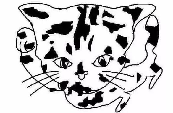 熬夜熊猫眼多久能自愈,经常夜班熬夜熊猫眼怎么办