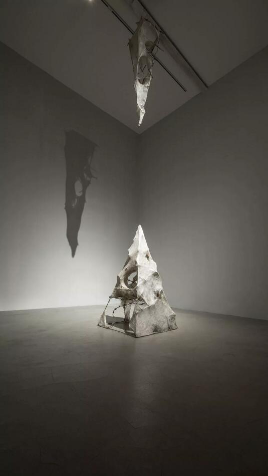 一个茧只有一根丝吗,一个茧是由一根丝组成的吗