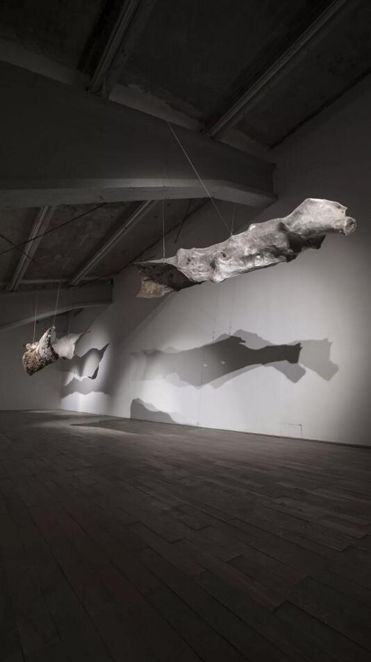 一个茧只有一根丝吗,一个茧是由一根丝组成的吗