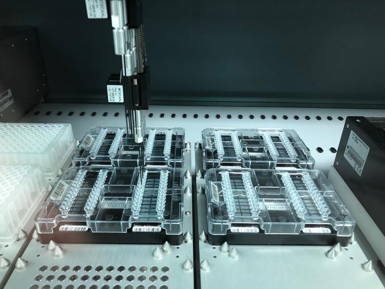 测试你的基因生意,测试你的基因价格