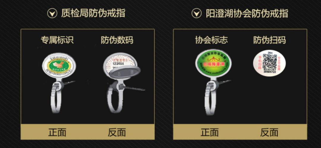 阳澄湖大闸蟹现在还能买吗,2018年阳澄湖大闸蟹开捕