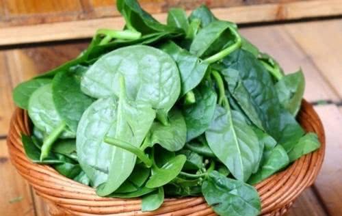 怀孕期间孕妇都爱吃什么菜,怀孕后不能吃这三种蔬菜容易滑胎