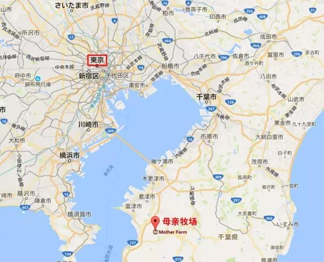 亲子牧场推荐,亲子牧场有哪些