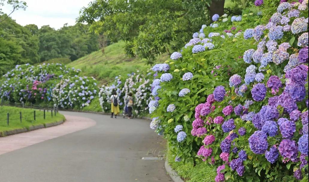 亲子牧场推荐,亲子牧场有哪些