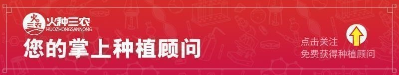 庭院驱鸟用哪种驱鸟剂好,驱鸟剂和驱鸟丝带哪个好用