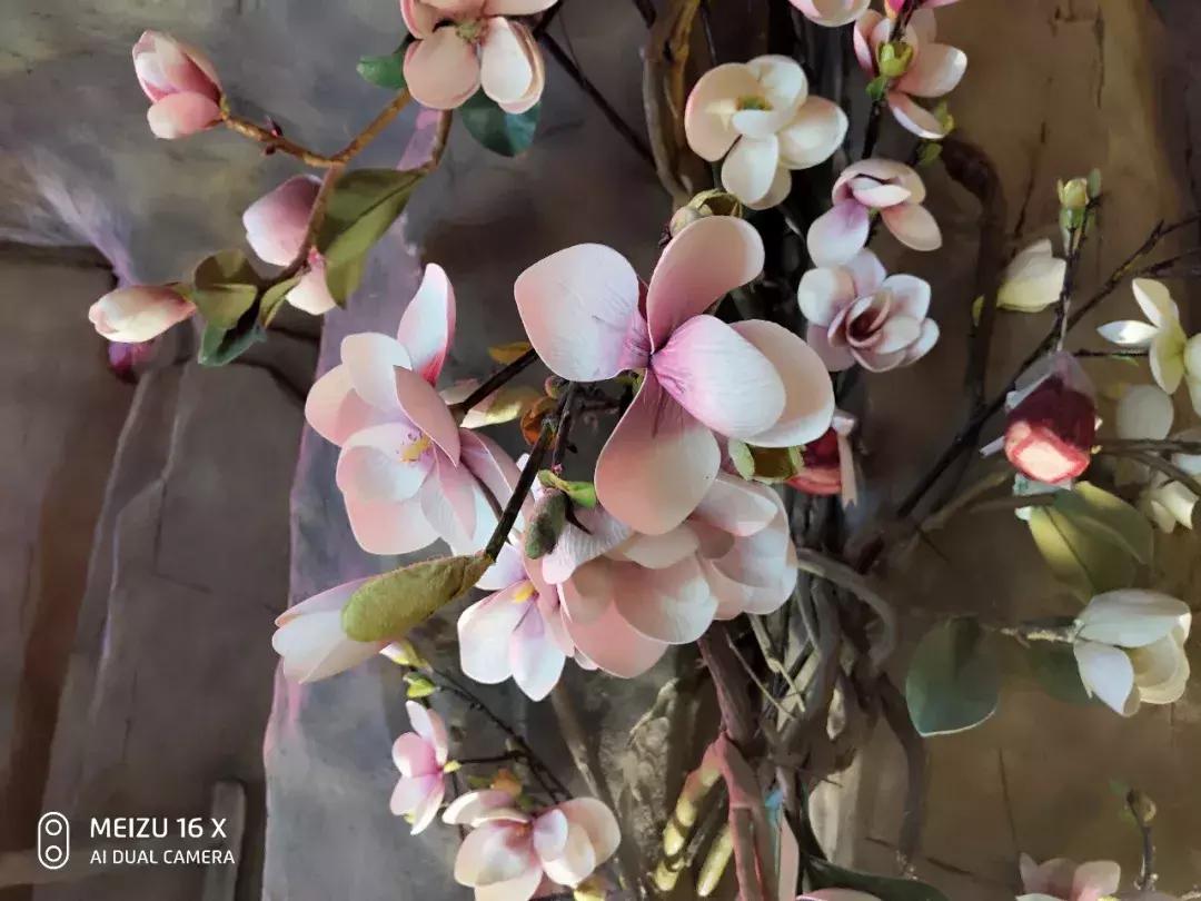 魅族16x和魅族16th拍照,魅族16x最新报价