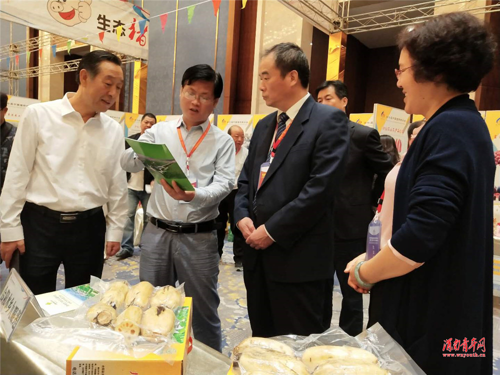 合阳县特色农产品亮相,合阳优质农产品