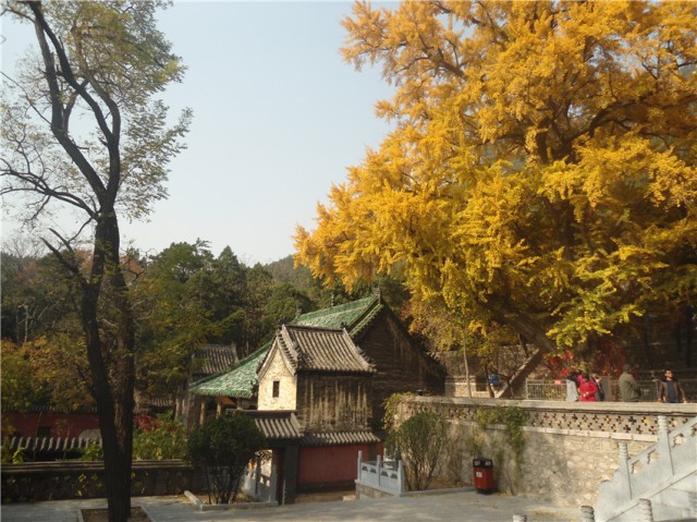 中秋国庆旅游怎么玩的,济南中秋国庆自驾游好去处