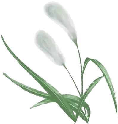 阳澄湖旅游吃大闸蟹民宿,沙家浜景区芦花湾住宿