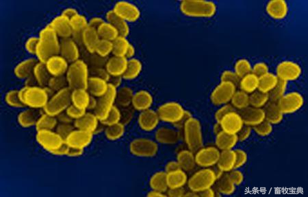 养牛跟我学第一篇第二章第二节