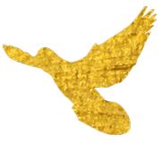 「脱贫攻坚公安蓝」“看到群众高兴，我们感觉很幸福”——毕节市公安局帮扶赫章县德卓乡侧记