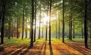 大信阳跃升为三线城市，再次传遍信阳人的朋友圈