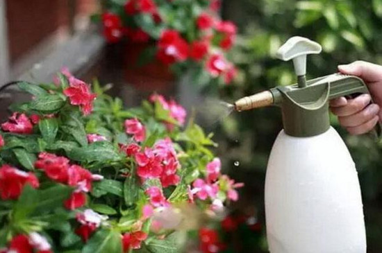 醋和小苏打浇花能杀虫吗,小苏打兑水喷花叶子有用吗