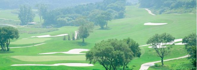 观澜湖集团｜超级富二代兄妹