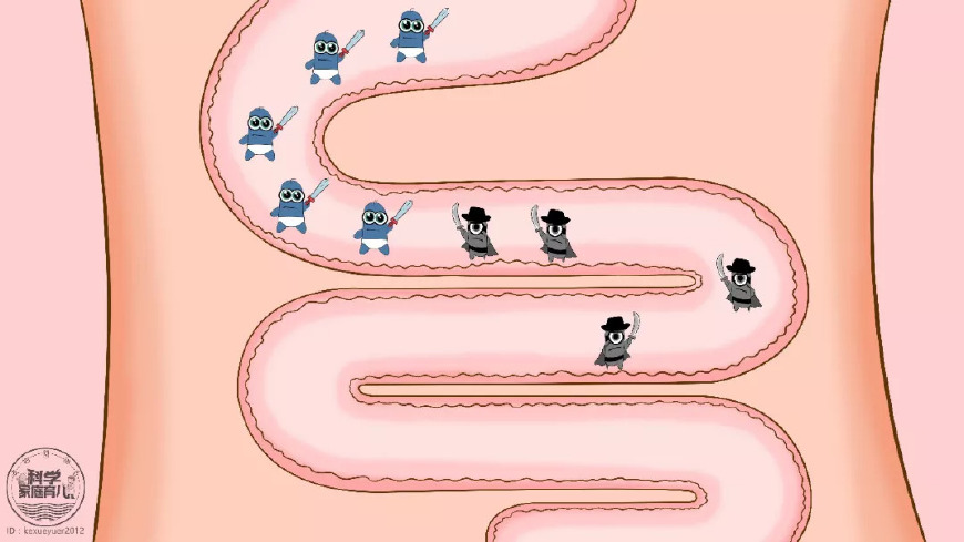 喝酸奶补充益生菌竟然不靠谱,靠喝酸奶补充益生菌原来不靠谱