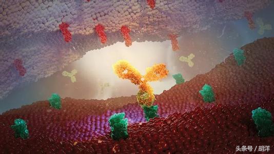 有没有黑色素瘤晚期治愈的人,黑色素瘤国内治愈案例