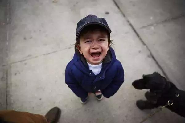 网红为狗打孕妇事件,网红殴打孕妇最新