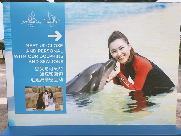 三亚亚特兰蒂斯酒店体验讲解,三亚亚特兰蒂斯酒店自由行攻略