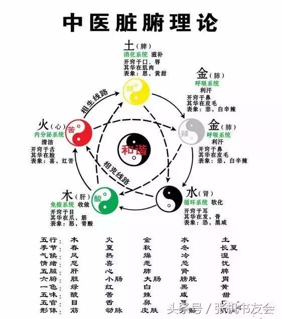 中医五行背诵,中医五行背诊法详解