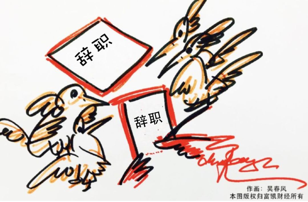 华录百纳,华录百纳财务