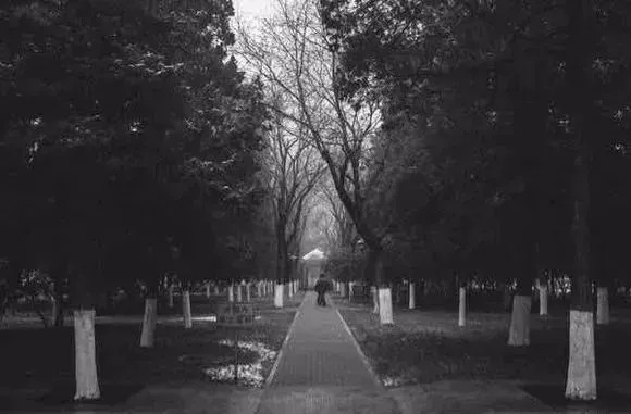 官园批发市场现在还在吗,官园批发市场28日还开吗