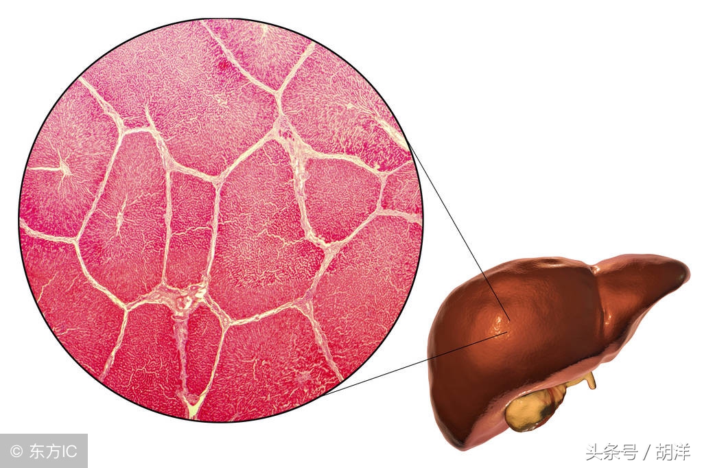 药物损伤肝脏吃什么保肝药,保肝药有哪几种