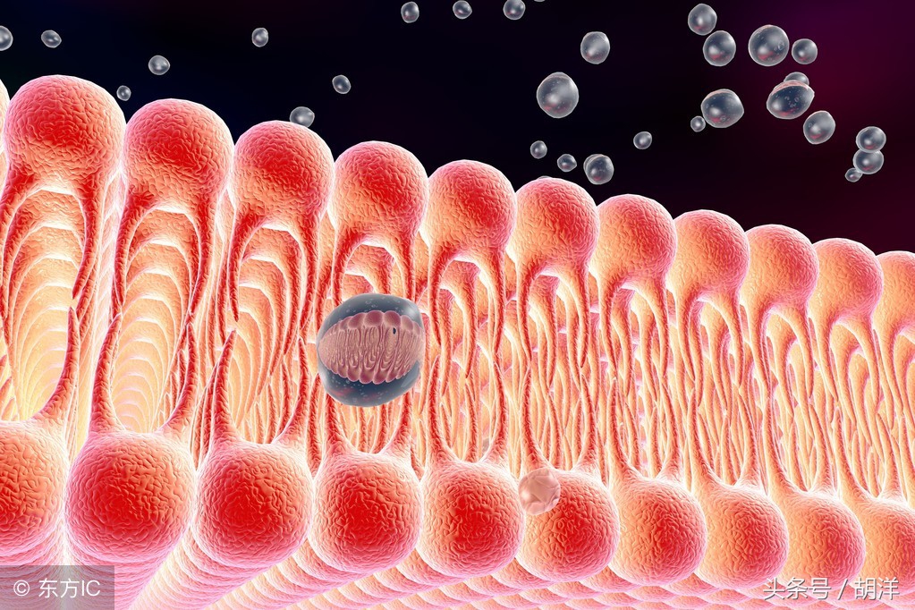 药物损伤肝脏吃什么保肝药,保肝药有哪几种