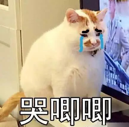 三款必买的隔离,隔离有几款