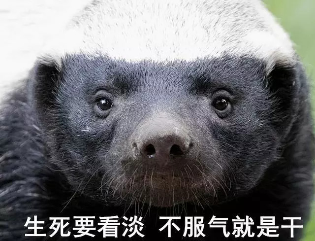 马云宣布退休全部视频,马云退休前放大招