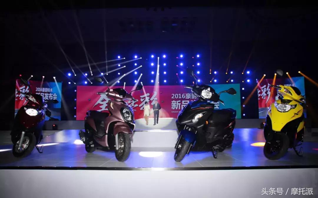 看门道看热闹讲解,看门道电影完整版