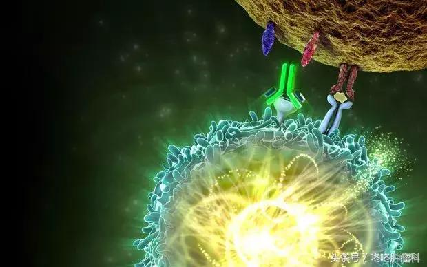 pd1抗体多少钱一套,pd-1抗体一针多少钱