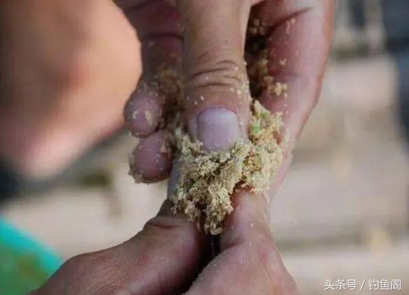 使用玉米钓鱼技巧,用玉米钓鱼方法